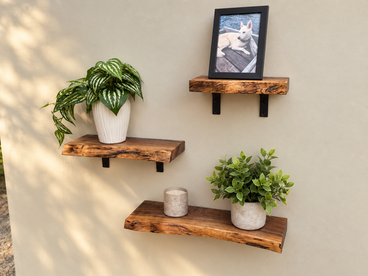 Petite tablette Live edge en noyer noir